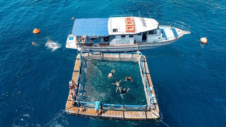 Kamiros Skala : Marine Life Experience & Alimia Island - BBQ Lunch with Locally Farmed Fish, Plus Beer and Wine