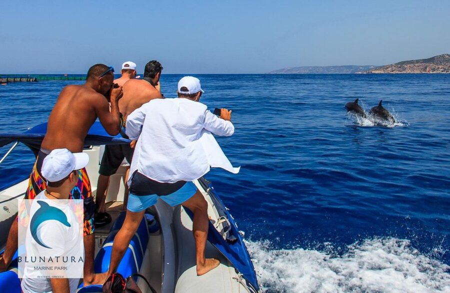 Kamiros Skala : Marine Life Experience & Alimia Island - What to Bring, What Not to Do, and Snorkeling Reality