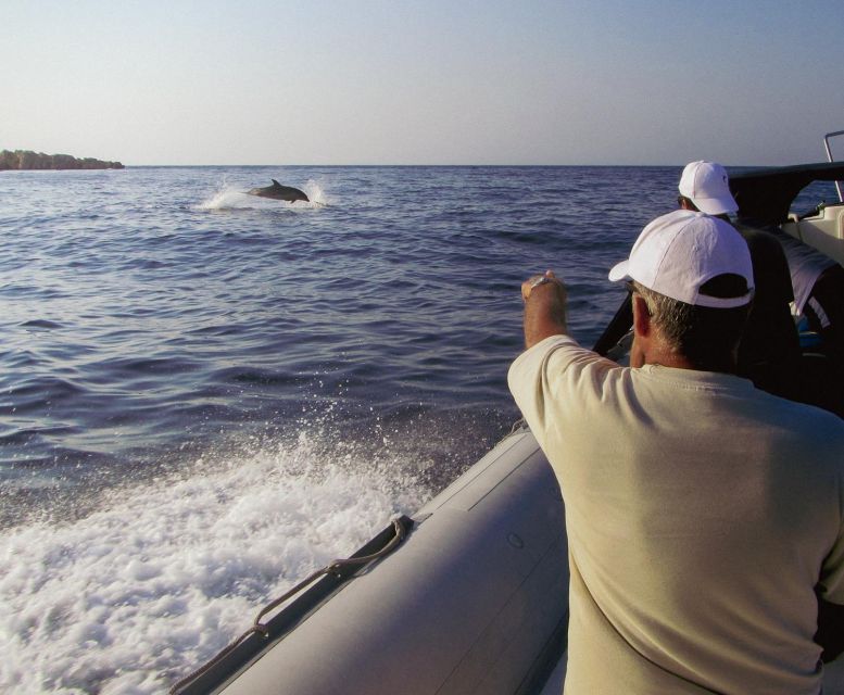 Kamiros Skala : Marine Life Experience & Alimia Island - Price and Value: Is $176 Worth It for a 7-Hour Day?