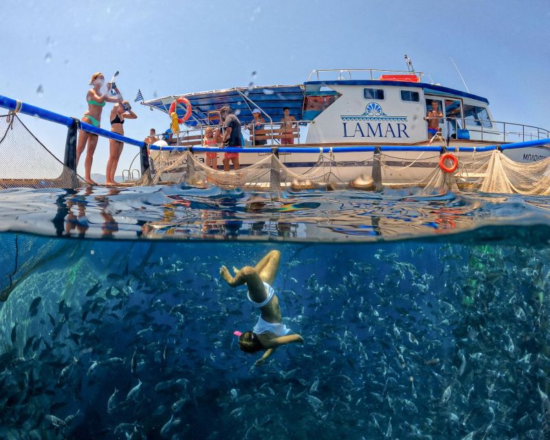 Kamiros Skala: Marine Life Experience by Boat - Should you book this Kamiros Skala dolphin and snorkeling experience?