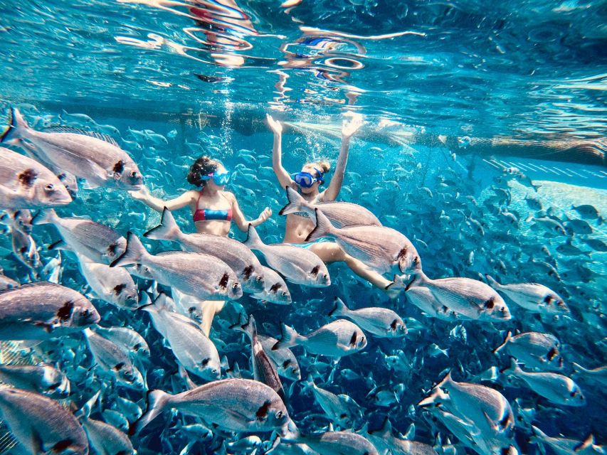 Kamiros Skala: Marine Life Experience by Boat - Stroggyli (Strongylí) snorkeling: what you’re looking at, and how to enjoy it