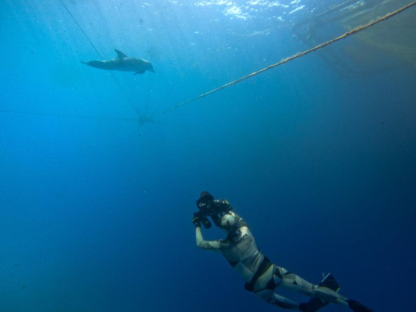 Kamiros Skala: Marine Life Experience by Boat - Price and value: what you get for about $106 per person