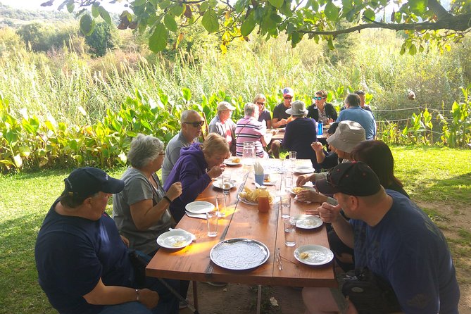 Katakolon Small Group Tour: Olympic site, Honey/Olive Oil Tasting - From Katakolon port to Olympia, fast and organized in a small van