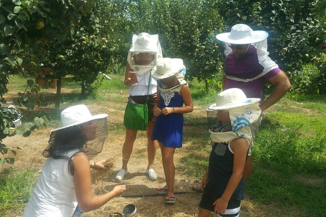 Katakolon Small Group Tour: Olympic site, Honey/Olive Oil Tasting - Time planning in a 5-hour day, plus how to pace yourself