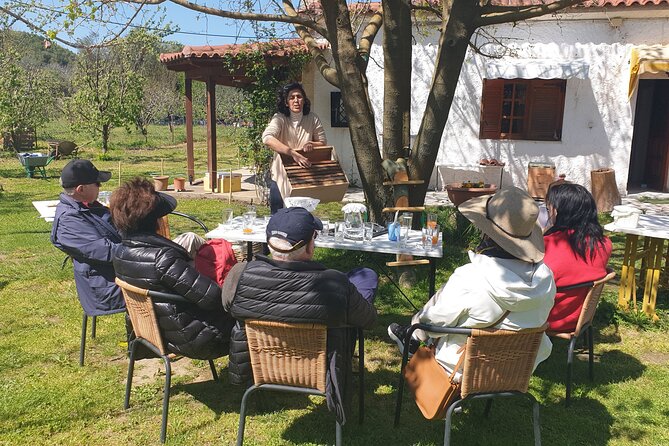 Katakolon Small Group Tour: Olympic site, Honey/Olive Oil Tasting - Price and value: $126.72 makes sense, if you budget the extras