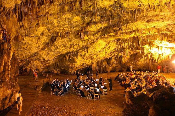 Kefalonia in a day: Full-Day Private Sightseeing Tour - Price and value: is 202.40 per person fair for a full-day private tour?