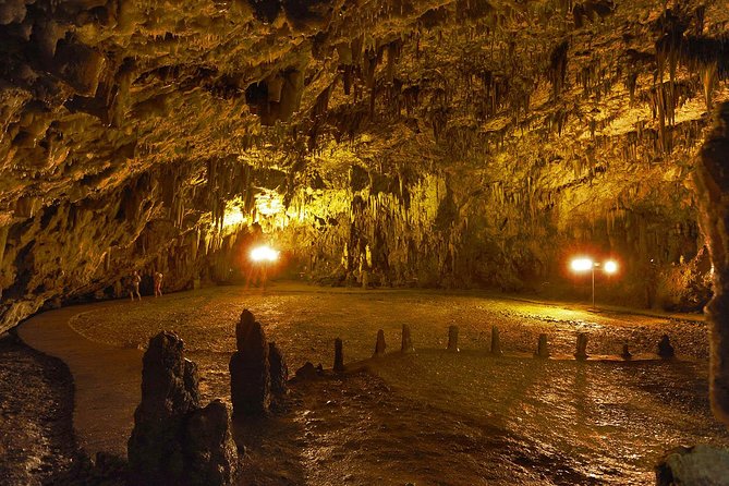 Kefalonia Island Bus Tour- Wine Tasting, Melissani & Fiscardo - Price and value: what the $41.92 buys you