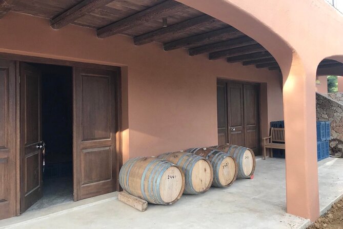 Kefalonia: Private Olive Oil, Honey & Wine Tasting Experience - How the private pacing works, including cruise-day timing