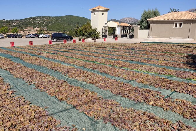 Kefalonia: Private Olive Oil, Honey & Wine Tasting Experience - Smart tips to make your tasting day go smoother