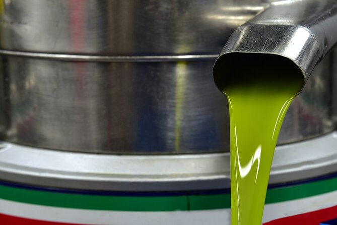 Kleanthi Olive Farm: Guided Tour with Local Delicacies Tasting - The olive mill: what you see changes with the season