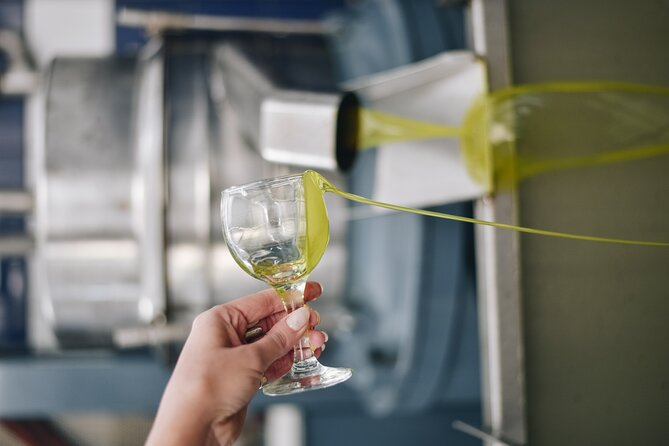 Kleanthi Olive Farm: Guided Tour with Local Delicacies Tasting - The tasting: olive oil plus local foods, served family-style