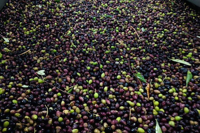 Kleanthi Olive Farm: Guided Tour with Local Delicacies Tasting - Value for money: why this $25.34 ticket makes sense