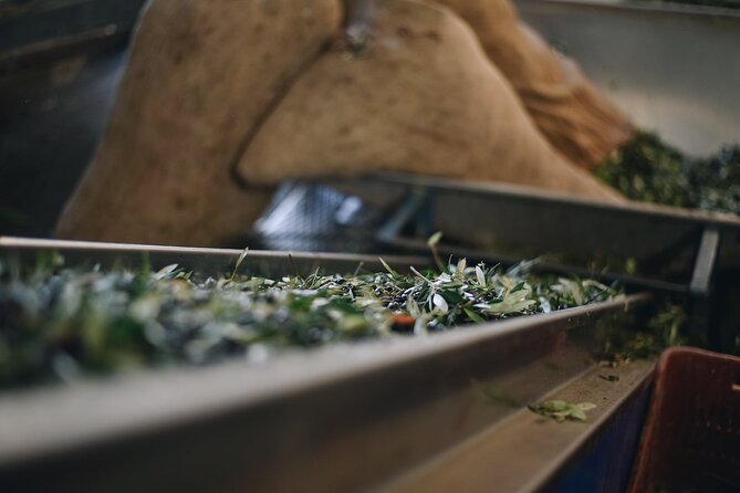 Kleanthi Olive Farm: Guided Tour with Local Delicacies Tasting - Who should book this olive farm tour (and who should skip it)