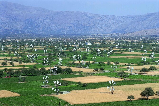 Knossos & lasithi plateau villages,Zeus's cave,&olive oil Mill - Omalia Olive Press: where Crete’s olive obsession becomes real