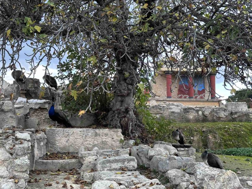 Knossos Palace Skip-the-Line Ticket & Private Guided Tour - Languages and what the private format lets you ask