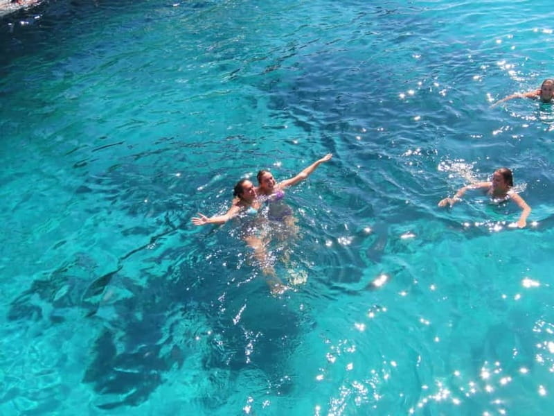 Kos : 3-Island Wooden Ship Cruise w/ Lunch on Captain Hook - Dolphin watching around Kos: what that short stop is really for