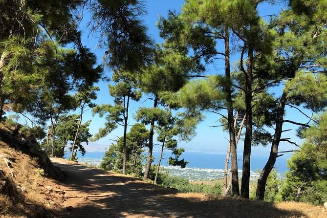 Kos 4x4 Exploration: Views, Villages & Flavors - Stop 2: Turtle Lake photo stop for quiet, off-road calm