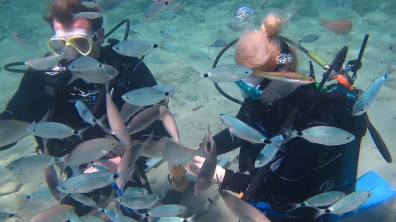 Kos: Beginner Scuba Diving at Pserimos Island - From Kos harbour to Pserimos: what the day feels like