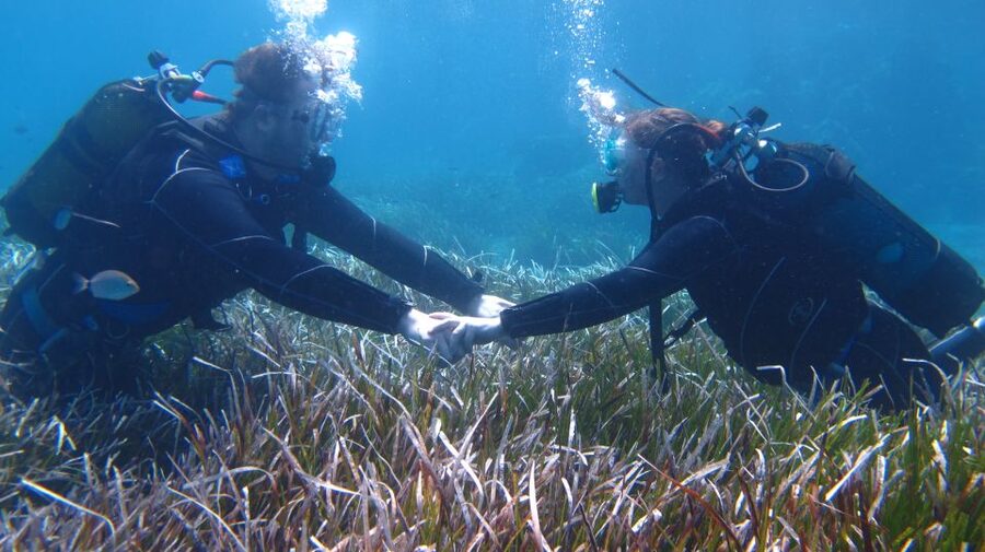 Kos: Beginner Scuba Diving at Pserimos Island - Instructors and group size: why the support feels personal