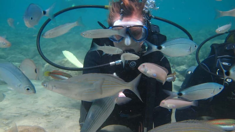 Kos: Beginner Scuba Diving at Pserimos Island - Price and value: why $97 can make sense here