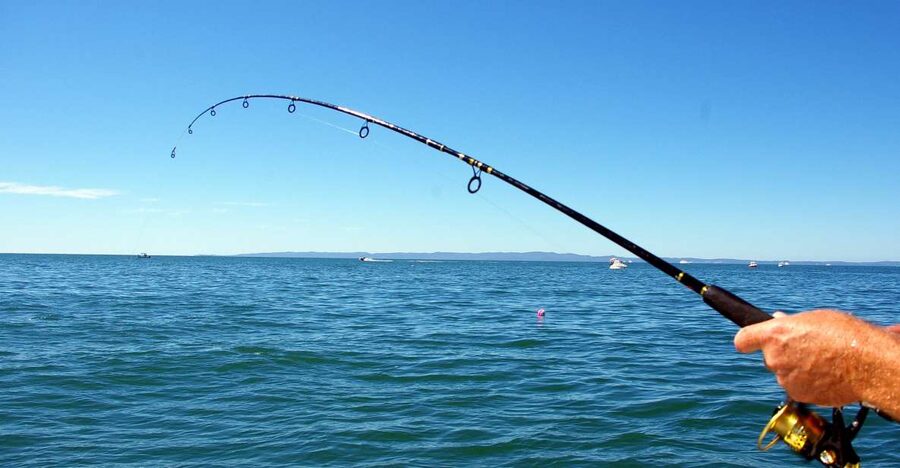Kos: Fishing Trip Experience with a Greek Fisherman's Family - Morning Meet-Up at Dolphin Square and Life Aboard Agios Giorgios