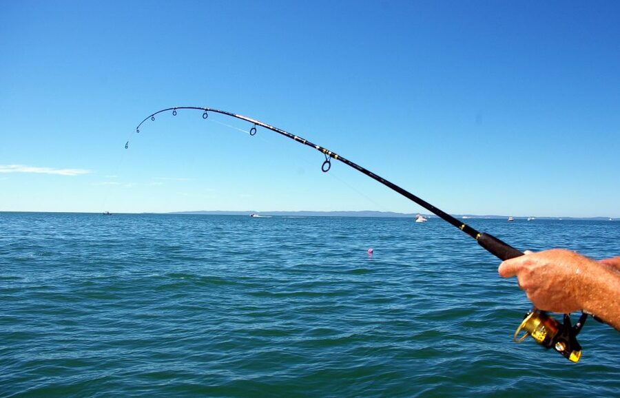 Kos: Fishing Trip Experience with a Greek Fisherman's Family - The Greek Fishing Lesson: Gear, Bait, and Real Techniques You Can Use