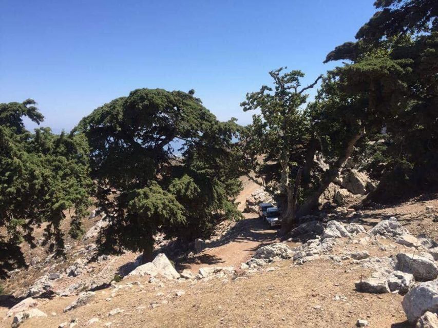Kos: Full-Day Jeep Safari with Lunch - Key Takeaways Before You Go