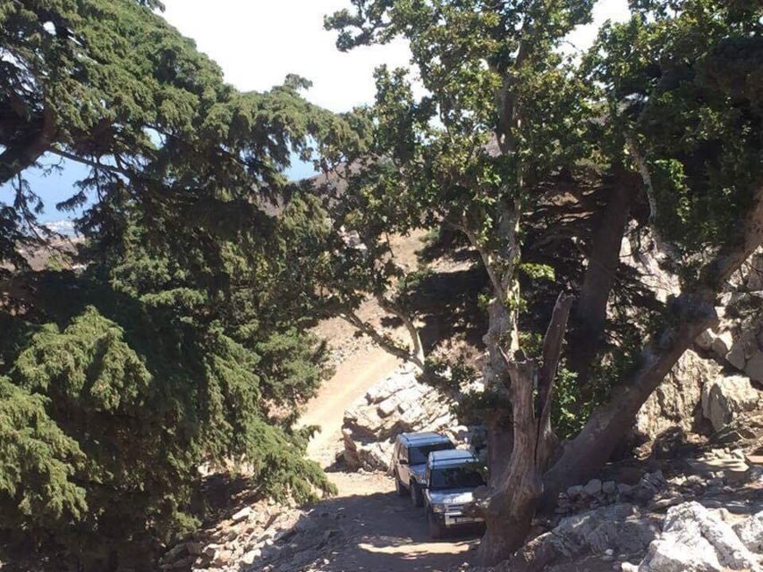 Kos: Full-Day Jeep Safari with Lunch - Comfort, Safety, and What to Pack (So the Day Feels Good)