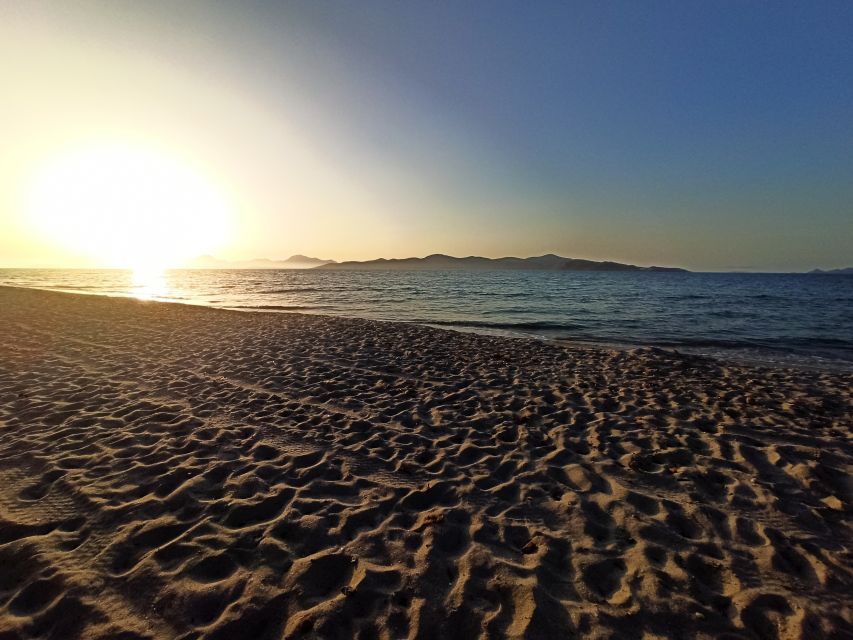 Kos: Horse Riding Experience on the Beach with Instructor - 5 Key Things That Make This Kos Ride Worth Your Time