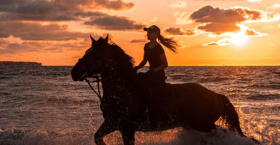 Kos: Horse Riding Experience on the Beach with Instructor - Getting Started on Horseback: How Beginners Are Set Up to Succeed