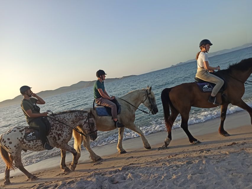 Kos: Horse Riding Experience on the Beach with Instructor - The Salt Lake Segment: Quiet Nature Time Before the Beach Runs