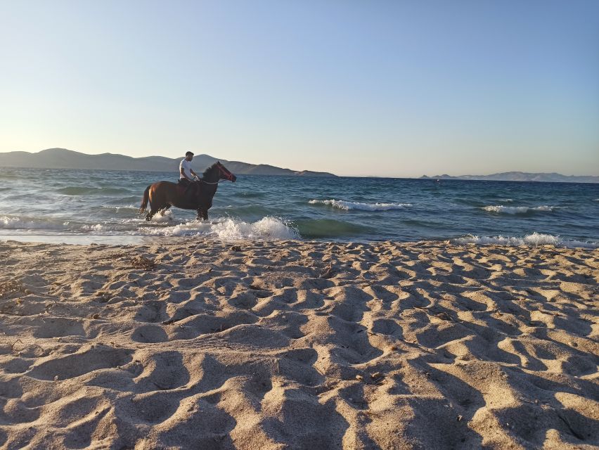 Kos: Horse Riding Experience on the Beach with Instructor - What to Bring, What to Watch For, and Who This Is Best For