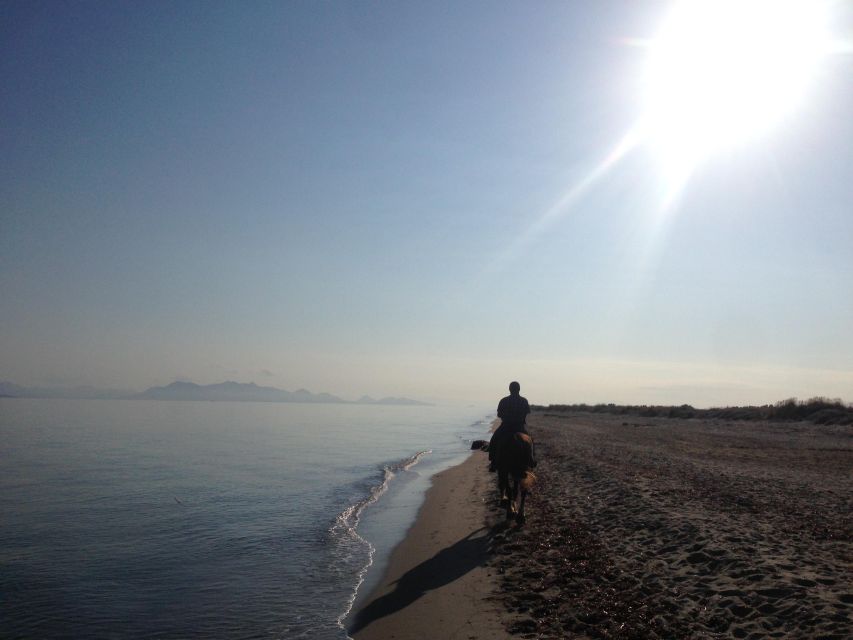 Kos: Horse Riding Experience on the Beach with Instructor - Should You Book This Kos Horse Riding Experience?
