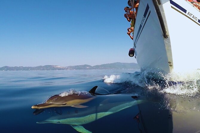 Kos: Small Group Full-Day Sailing with Meal, Drinks, & Swim - Crew energy: Arthur and Niki set the tone for the whole trip