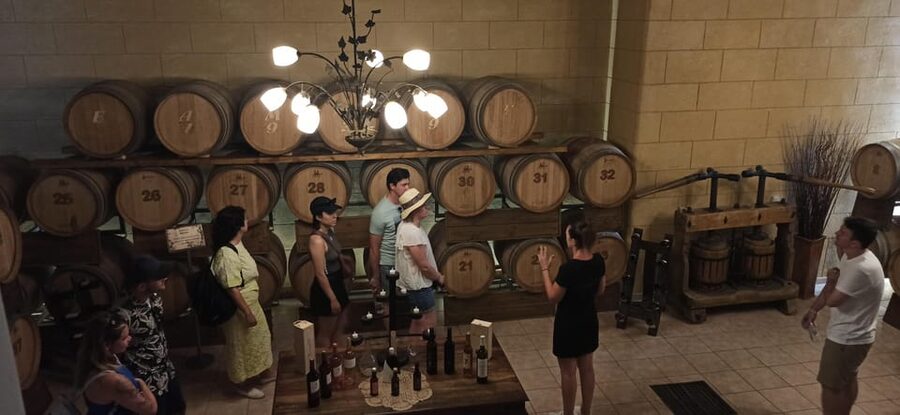 Kos: Wineries Tour w/ Wine Tastings & Transportation - Ktima Akrani: Guided Pairings and a Longer Seated Tasting