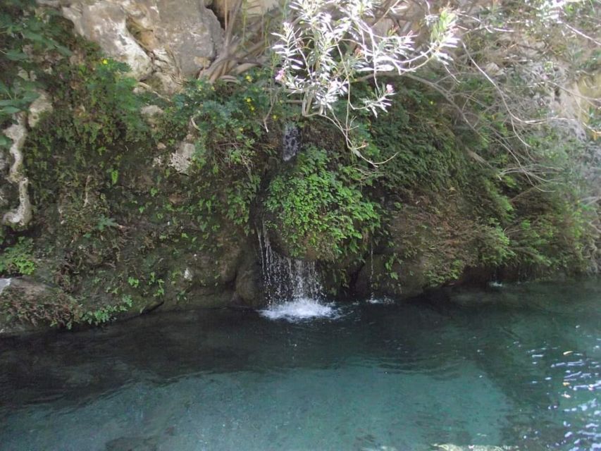 Kourtaliotiko Gorge River Trek with Lunch! Pick-up Avaliable - Two hours of river walking: natural pools, plane trees, and quieter paths