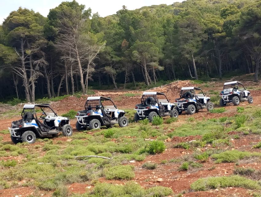 Laganas: Off-Road Buggy Adventure in Zakynthos with Lunch - Who This Tour Fits Best (And Who Should Skip It)