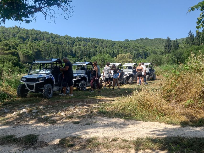 Laganas: Off-Road Buggy Adventure in Zakynthos with Lunch - Marathias Turtle Island Photos and the Forest Stretch