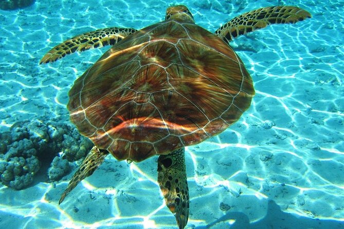 Laganas Zakynthos: Marathonissi, Keri Caves and Turtles Spotting - Key Highlights to Know Before You Go