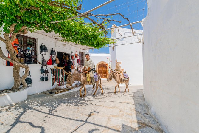 Lindos by Express MiniBus (Small Group) - Small Group Size: Why Max 24 Matters