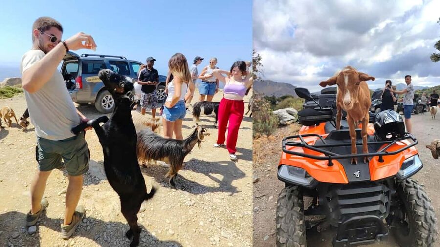 Malia: Off-Road Quad Safari Tour with Lunch and Transfers - Off-road quad safari in Crete: what the day actually feels like