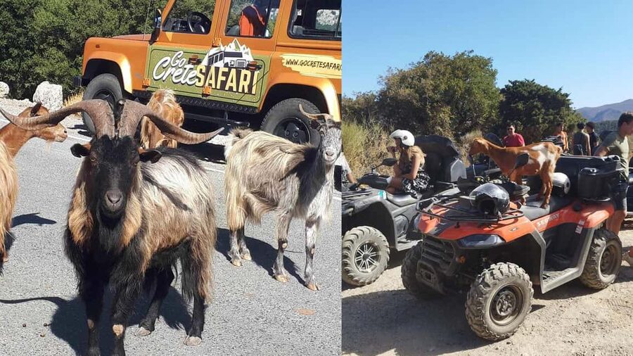 Malia: Off-Road Quad Safari Tour with Lunch and Transfers - Meeting up and transfers: easy start, multiple pickup options