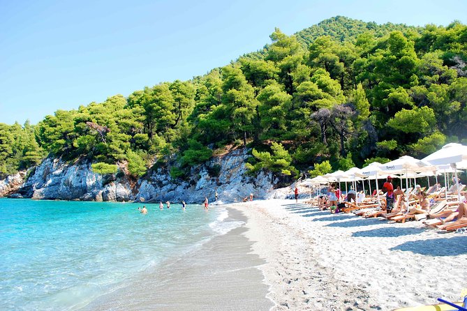 Mamma Mia Highlights, Skopelos island - Meeting Point: Dolphin of Skopelos and the Start of Your Day
