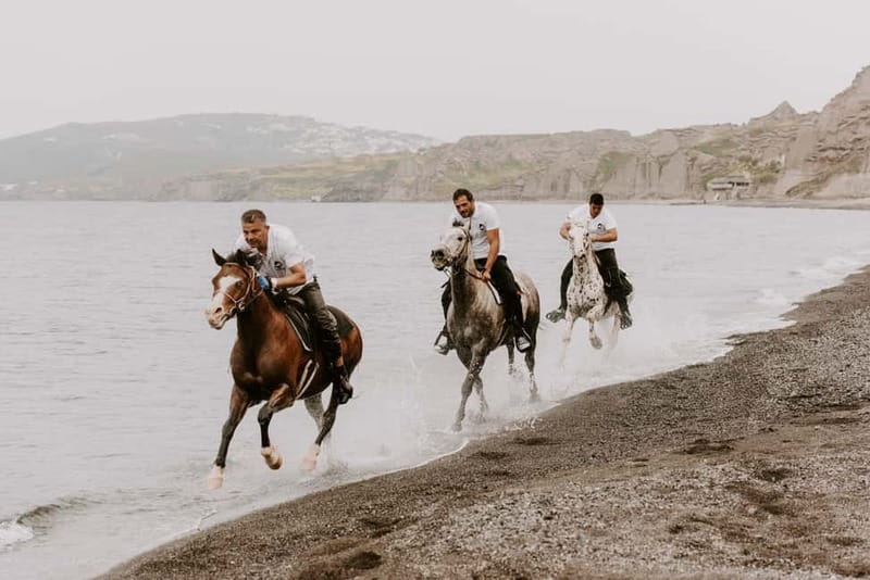 Megalochori: Horseback Riding Tour for Experienced Riders - The Route: Vine Paths, Eros Beach, Then Ravines to the Cliff Top