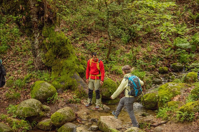 Meteora Small Group Hiking tour with Transfer and Monastery Visit - What to wear and bring: dress code and trail sanity