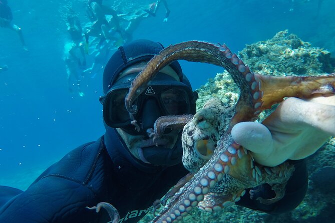 Milos: Half-Day Speedboat Cruise to Kleftiko with snorkeling tour - Snorkel Gear, GoPro and Drone Footage, and the Real Value of the Inclusions