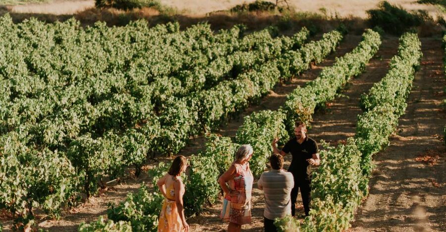 Milos Island: Kostantakis Winery Wine Tasting Experience - The tasting lineup: 7 wines plus a grape distillation, with local bites