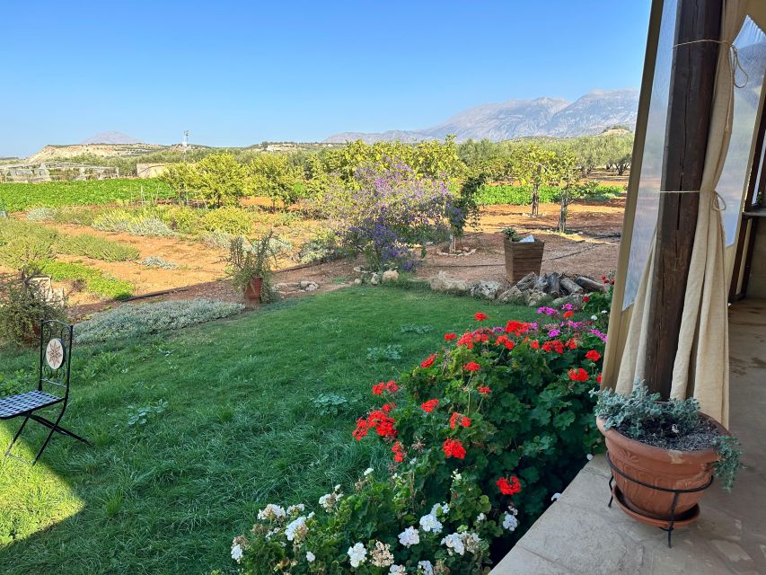 Moires: Cooking Class and Olive Oil Tasting at a Family Farm - Your meal paired with Cretan wine, plus leftovers to-go