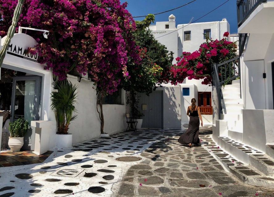 Mykonos: Full-Day Sightseeing Tour with Lunch - Kalo Livadi and Kalafati: distant beach views without the rush