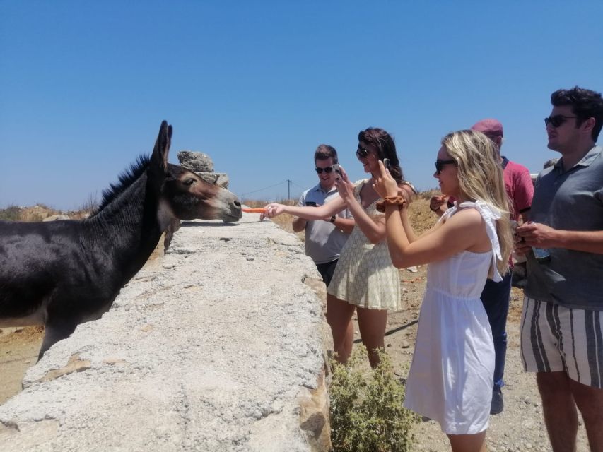 Mykonos: Highlights Tour with Panagia Tourliani Monastery - How this half-day loop feels on arrival